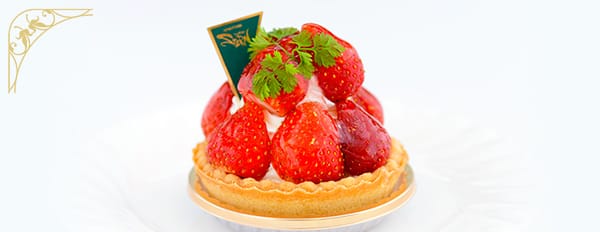 Petit Gateaux プチガトー